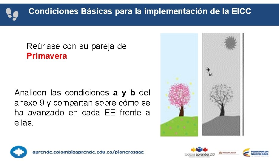 Condiciones Básicas para la implementación de la EICC Reúnase con su pareja de Primavera.