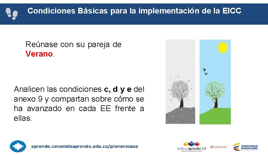 Condiciones Básicas para la implementación de la EICC Reúnase con su pareja de Verano.