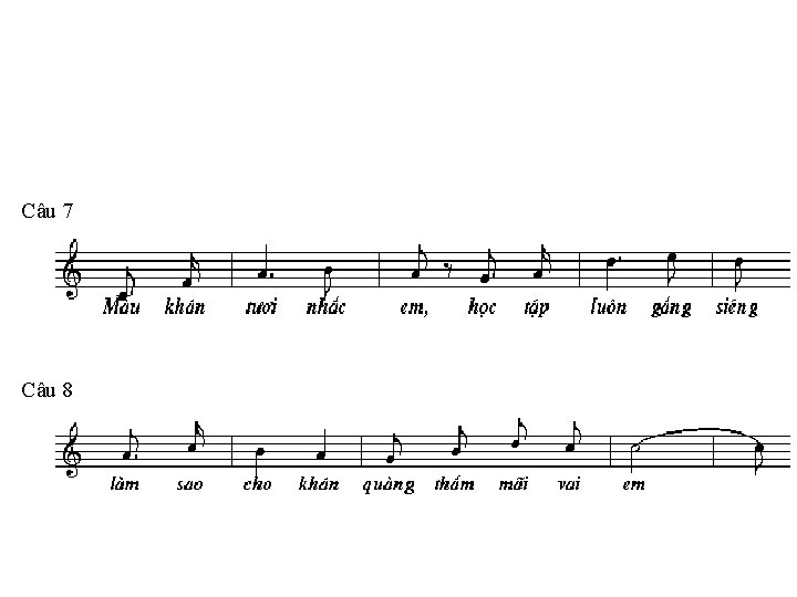 Câu 7 Câu 8 