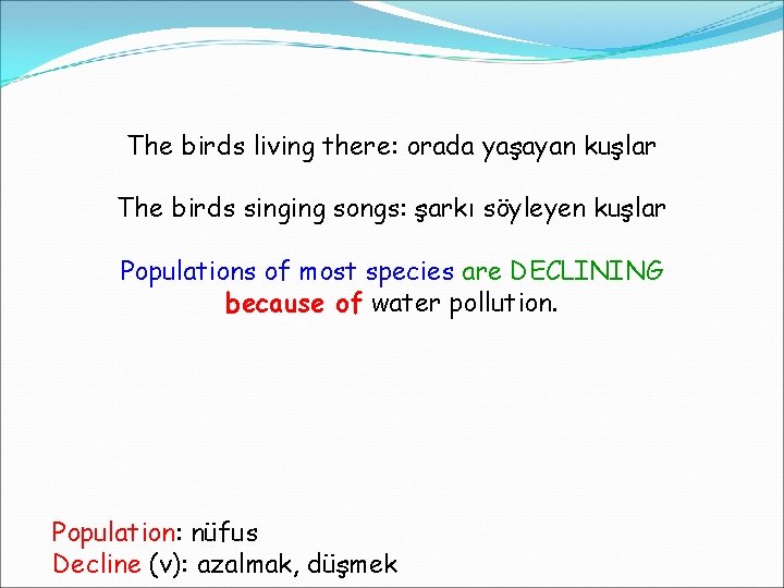 The birds living there: orada yaşayan kuşlar The birds singing songs: şarkı söyleyen kuşlar