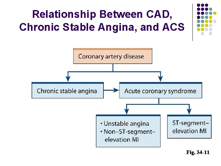 Relationship Between CAD, Chronic Stable Angina, and ACS Fig. 34 -11 