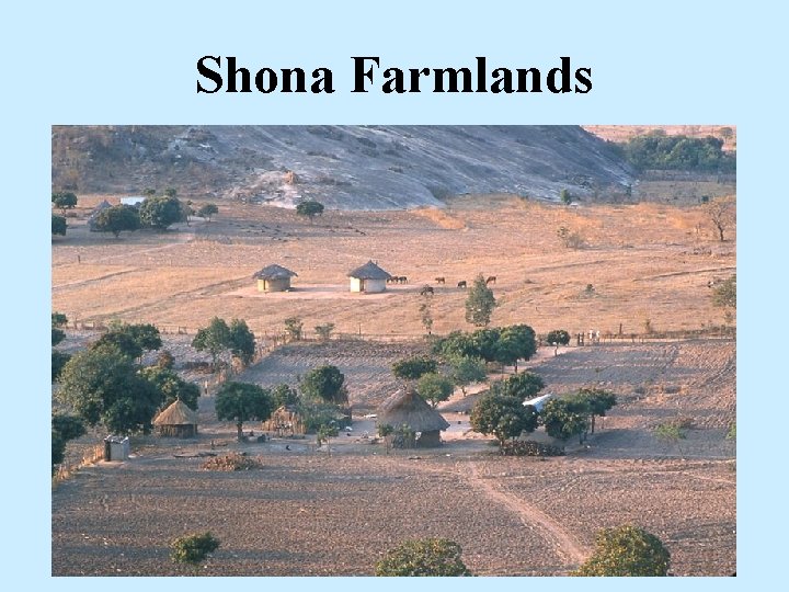 Shona Farmlands 