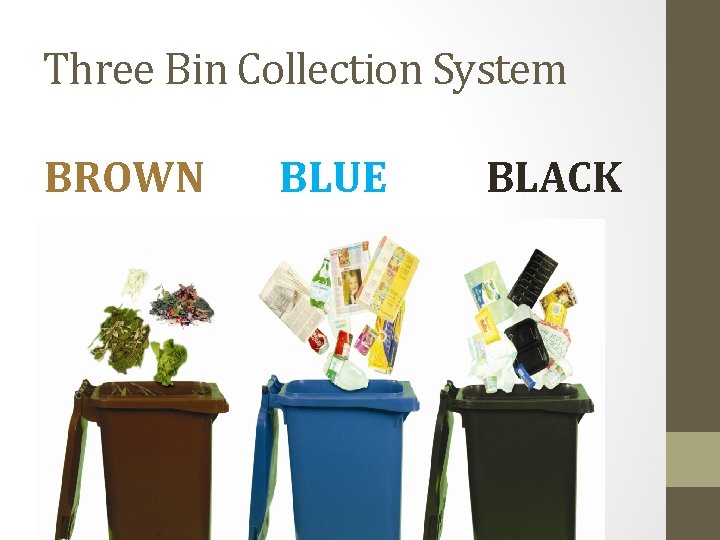 Three Bin Collection System BROWN BLUE BLACK 