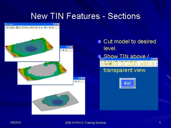 New TIN Features - Sections Cut model to desired level. Show TIN above /