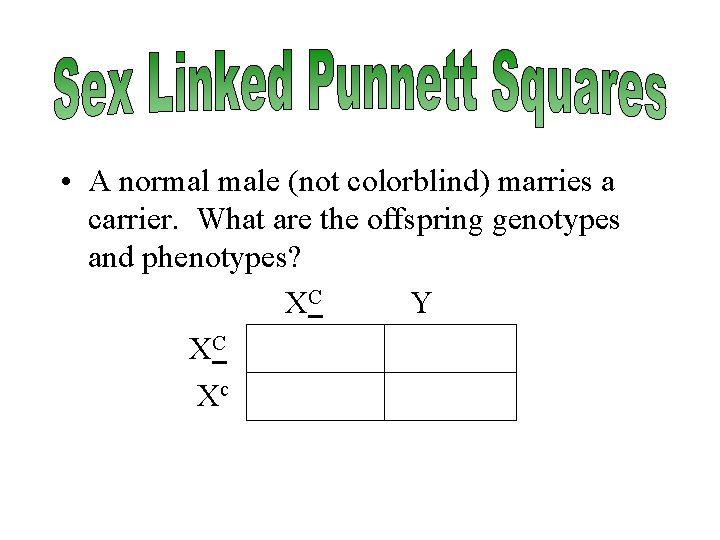  • A normal male (not colorblind) marries a carrier. What are the offspring