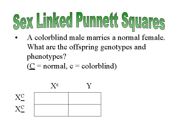  • A colorblind male marries a normal female. What are the offspring genotypes