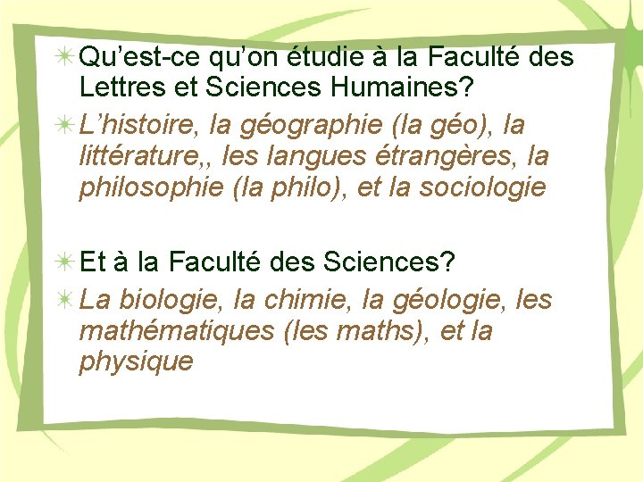 Qu’est-ce qu’on étudie à la Faculté des Lettres et Sciences Humaines? L’histoire, la géographie