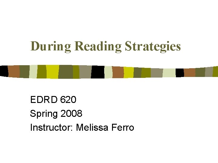 During Reading Strategies EDRD 620 Spring 2008 Instructor: Melissa Ferro 