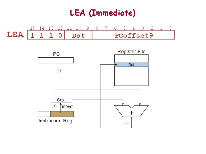 LEA (Immediate) 