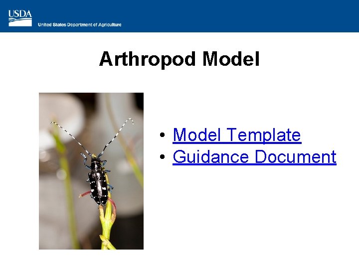 Arthropod Model • Model Template • Guidance Document 