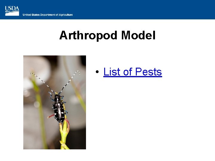 Arthropod Model • List of Pests 