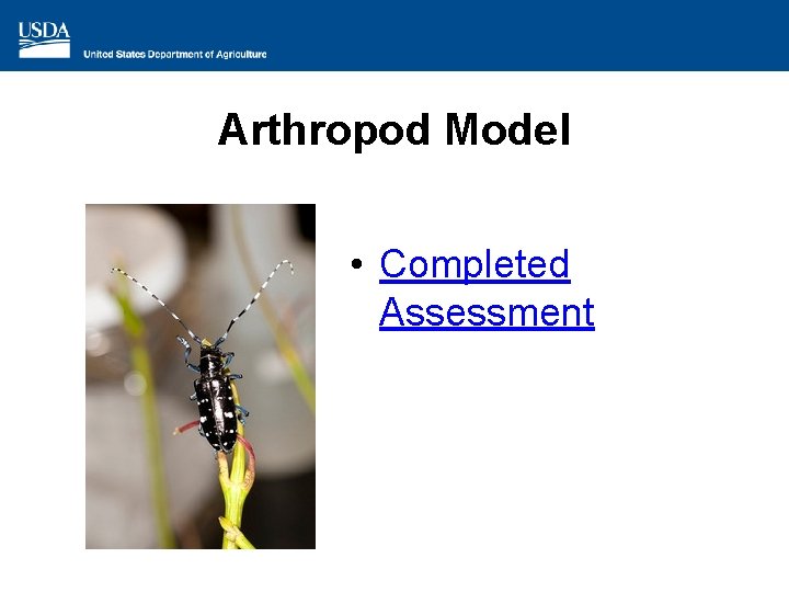 Arthropod Model • Completed Assessment 