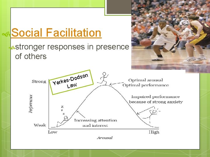  Social Facilitation stronger responses in presence of others n odso D s e