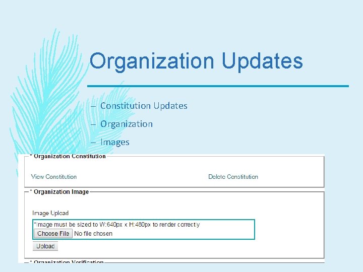 Organization Updates – Constitution Updates – Organization – Images 