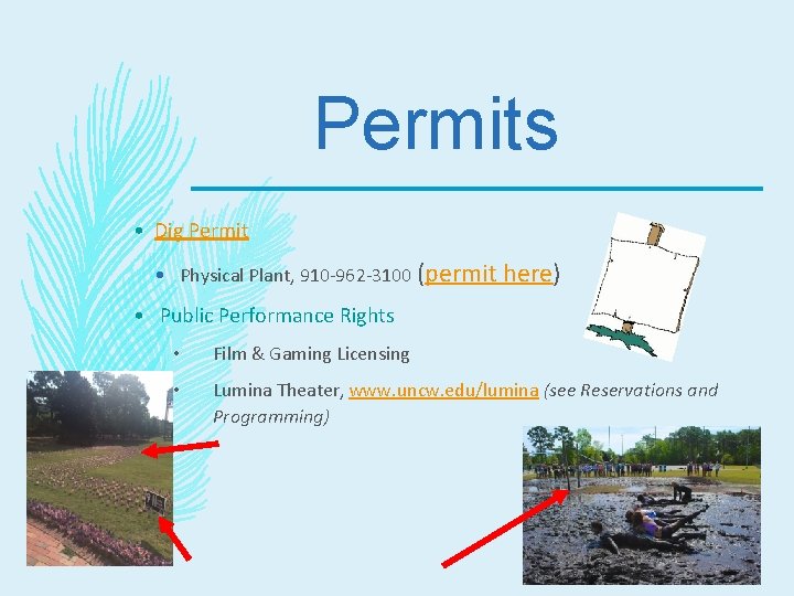 Permits • Dig Permit • Physical Plant, 910 -962 -3100 (permit here) • Public