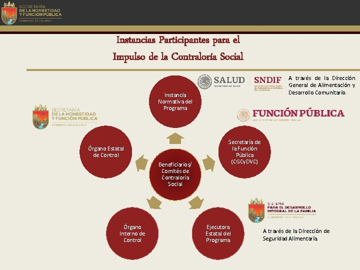 Instancias Participantes para el Impulso de la Contraloría Social A través de la Dirección