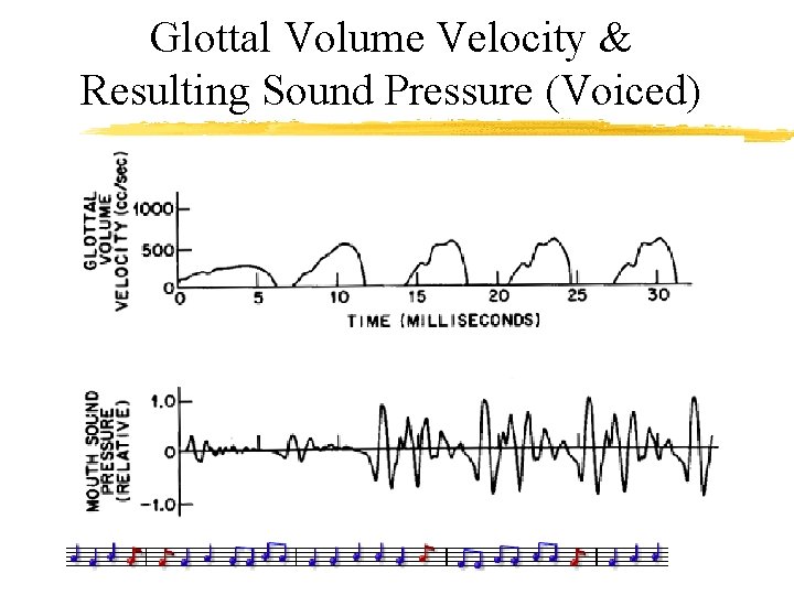 Glottal Volume Velocity & Resulting Sound Pressure (Voiced) 
