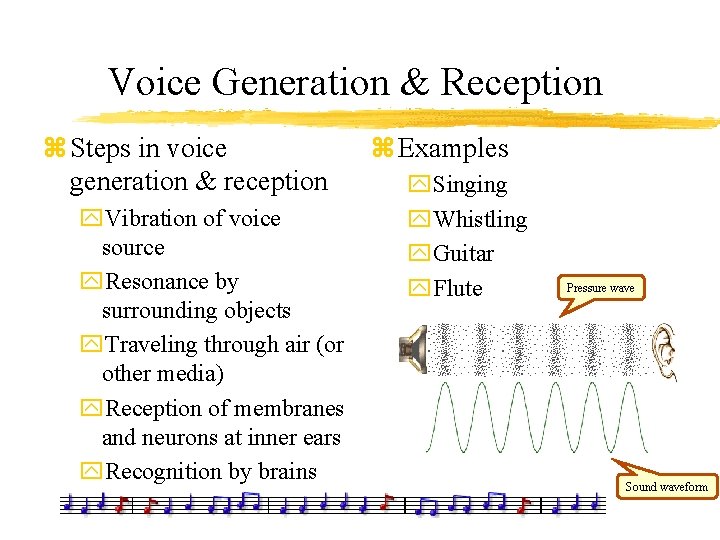 Voice Generation & Reception z Steps in voice generation & reception y. Vibration of