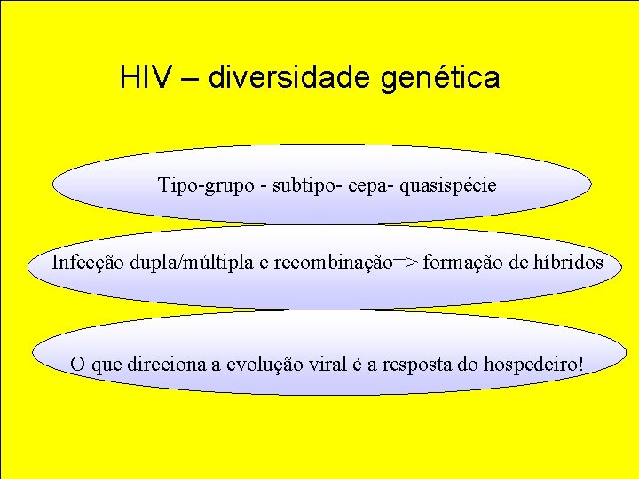 HIV – diversidade genética Tipo-grupo - subtipo- cepa- quasispécie Infecção dupla/múltipla e recombinação=> formação