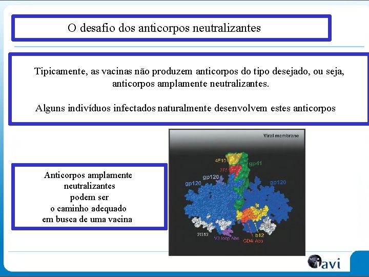 O desafio dos anticorpos neutralizantes Tipicamente, as vacinas não produzem anticorpos do tipo desejado,