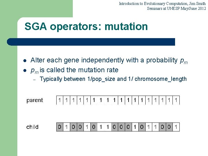 Introduction to Evolutionary Computation, Jim Smith Seminars at UNESP May/June 2012 SGA operators: mutation