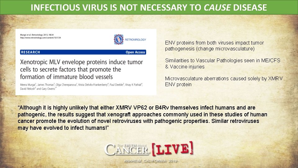 INFECTIOUS VIRUS IS NOT NECESSARY TO CAUSE DISEASE ENV proteins from both viruses impact