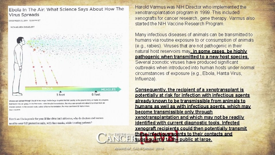 Harold Varmus was NIH Director who implemented the xenotransplantation program in 1999. This included