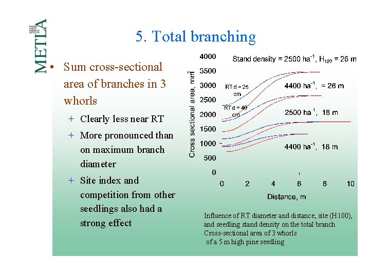 5. Total branching • Sum cross-sectional area of branches in 3 whorls + Clearly 5. Total branching • Sum cross-sectional area of branches in 3 whorls + Clearly