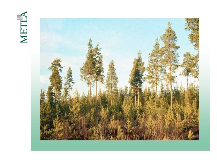 Effect of retained trees on growth and structure