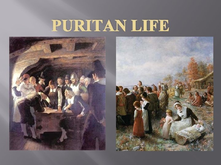 PURITAN LIFE 