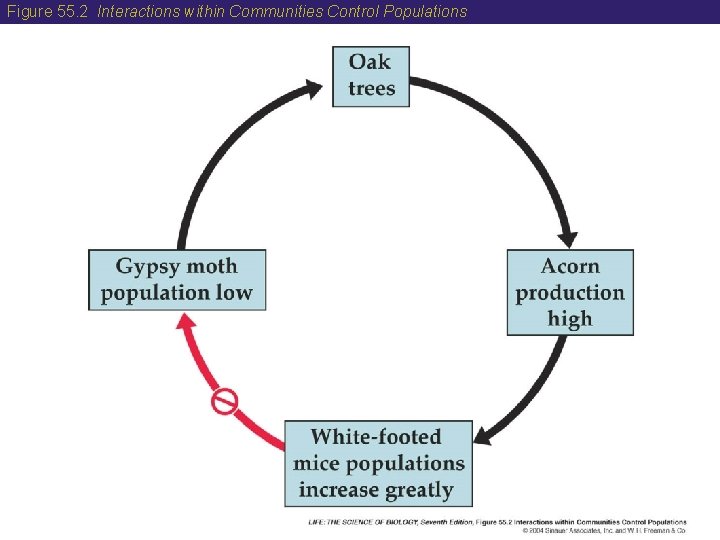 Figure 55. 2 Interactions within Communities Control Populations 