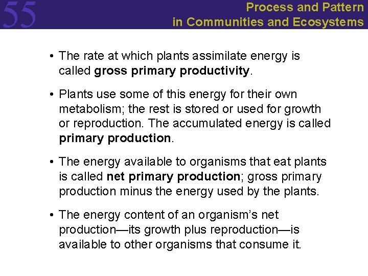 55 Process and Pattern in Communities and Ecosystems • The rate at which plants