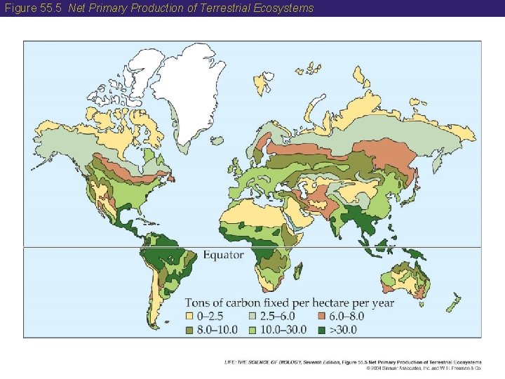 Figure 55. 5 Net Primary Production of Terrestrial Ecosystems 