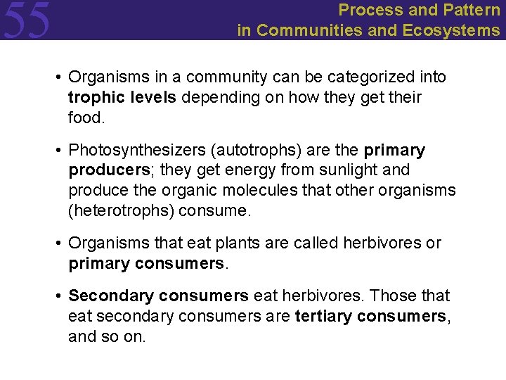 55 Process and Pattern in Communities and Ecosystems • Organisms in a community can