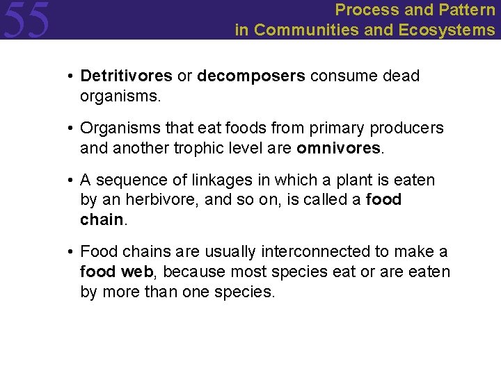 55 Process and Pattern in Communities and Ecosystems • Detritivores or decomposers consume dead