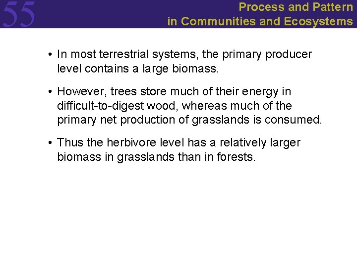 55 Process and Pattern in Communities and Ecosystems • In most terrestrial systems, the