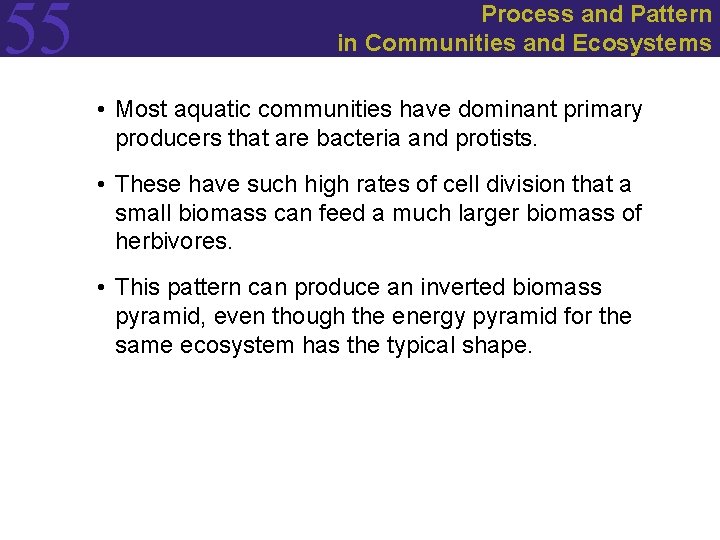 55 Process and Pattern in Communities and Ecosystems • Most aquatic communities have dominant