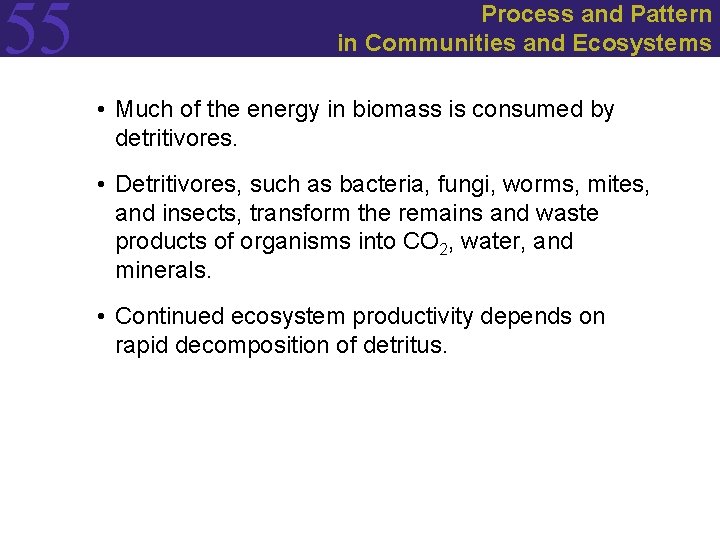 55 Process and Pattern in Communities and Ecosystems • Much of the energy in