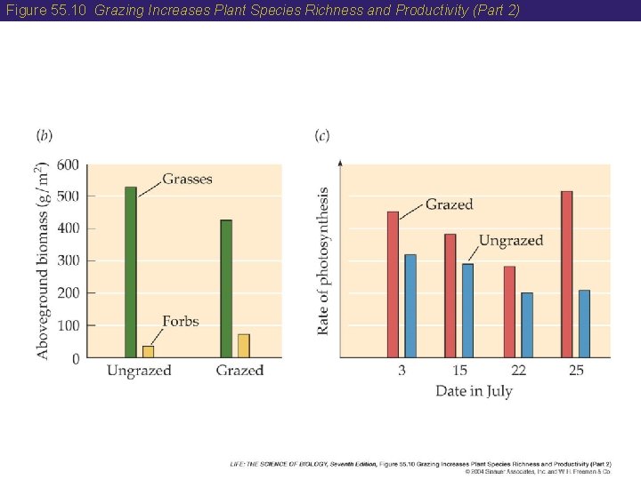 Figure 55. 10 Grazing Increases Plant Species Richness and Productivity (Part 2) 