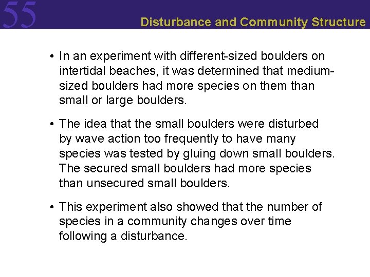 55 Disturbance and Community Structure • In an experiment with different-sized boulders on intertidal