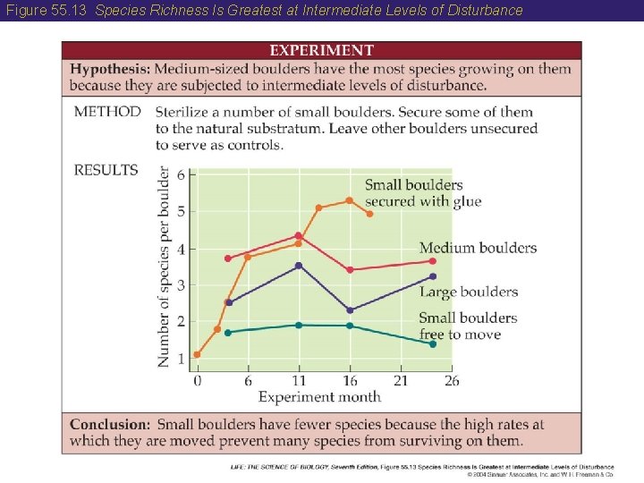 Figure 55. 13 Species Richness Is Greatest at Intermediate Levels of Disturbance 