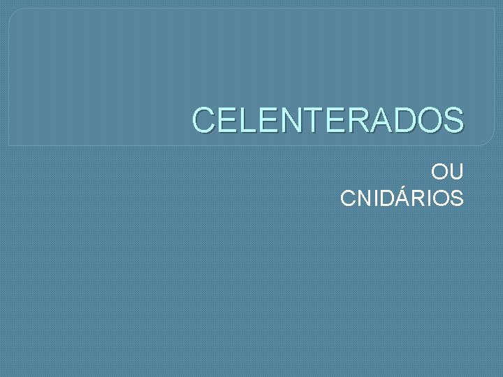 CELENTERADOS OU CNIDÁRIOS 