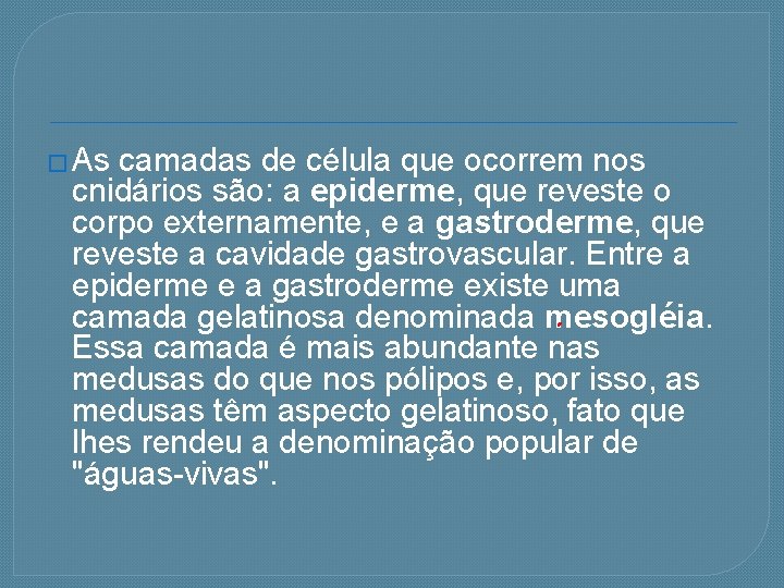 � As camadas de célula que ocorrem nos cnidários são: a epiderme, que reveste