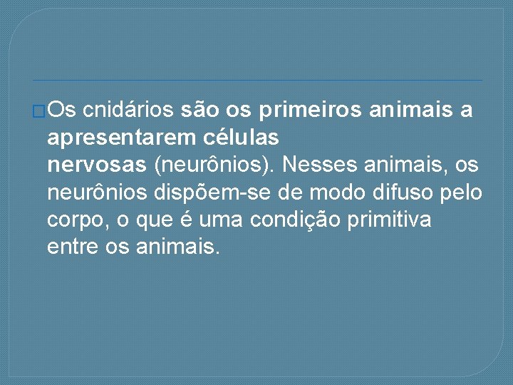 �Os cnidários são os primeiros animais a apresentarem células nervosas (neurônios). Nesses animais, os