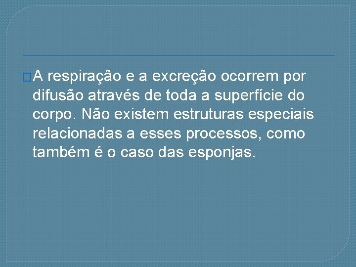 �A respiração e a excreção ocorrem por difusão através de toda a superfície do
