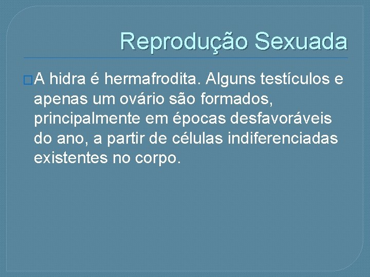 Reprodução Sexuada �A hidra é hermafrodita. Alguns testículos e apenas um ovário são formados,