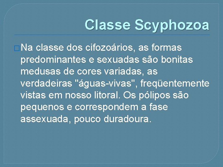 Classe Scyphozoa �Na classe dos cifozoários, as formas predominantes e sexuadas são bonitas medusas