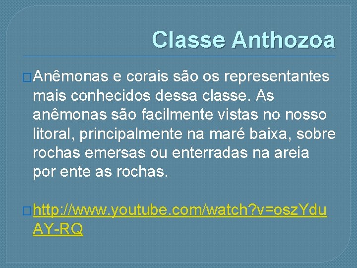 Classe Anthozoa �Anêmonas e corais são os representantes mais conhecidos dessa classe. As anêmonas
