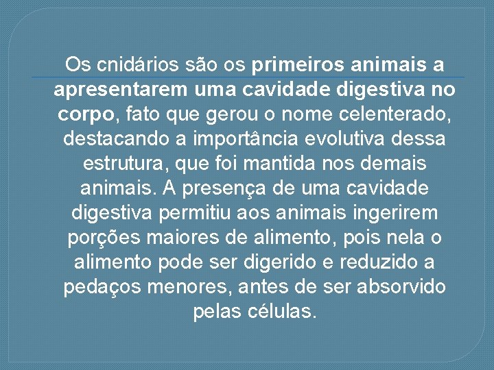 Os cnidários são os primeiros animais a apresentarem uma cavidade digestiva no corpo, fato