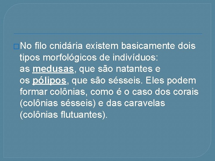 �No filo cnidária existem basicamente dois tipos morfológicos de indivíduos: as medusas, que são